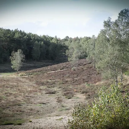 Дом отдыха Lindenhof Гардерен