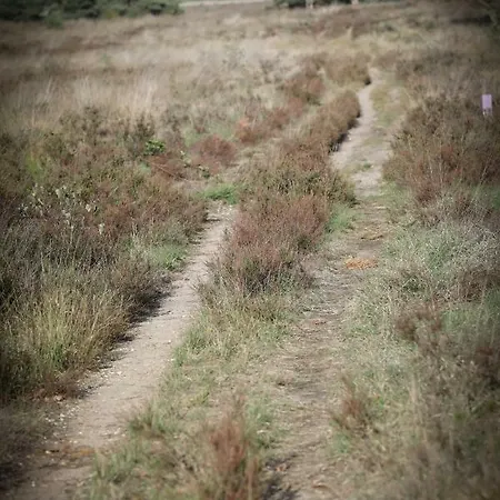 Lindenhof Casa de Férias