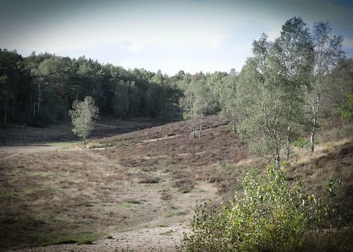 Дом отдыха Lindenhof Гардерен