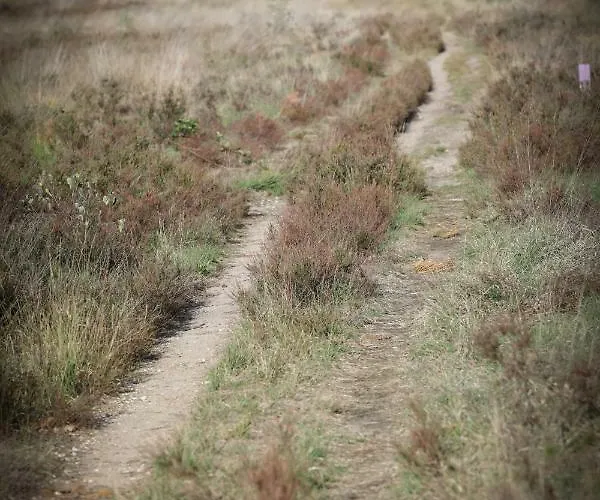 Lindenhof Holiday home