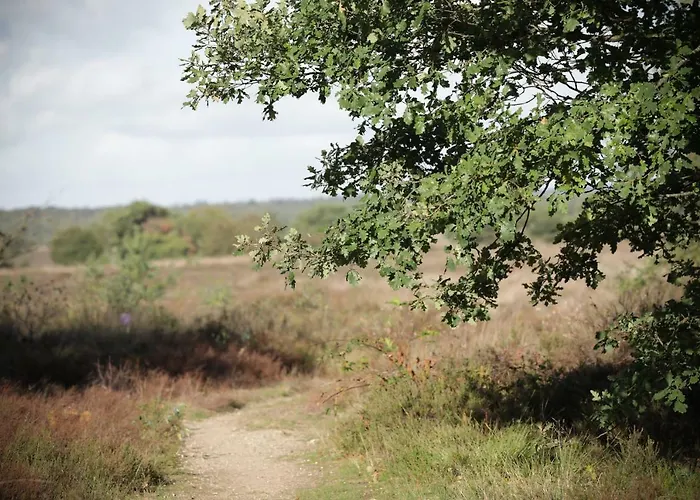 Lindenhof Дом отдыха Гардерен