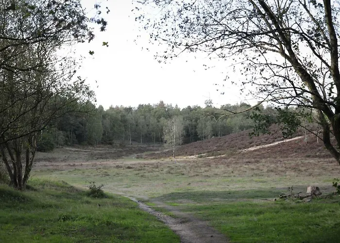 Дом отдыха Lindenhof Гардерен